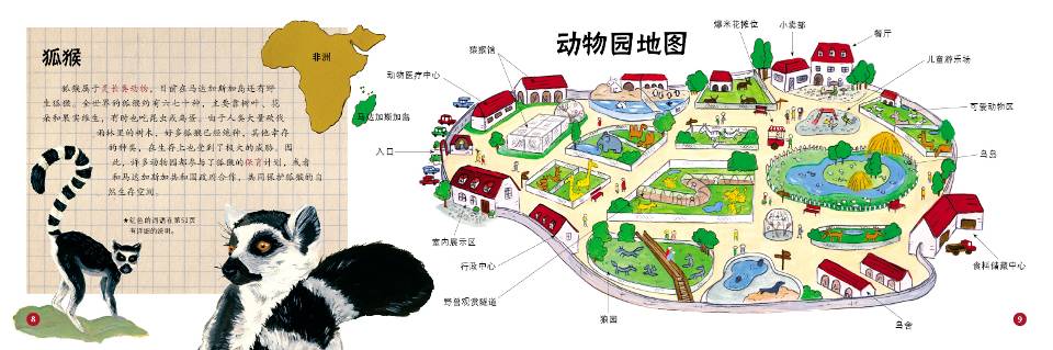 抢救动物园——寻找狐猴 (05),绘本,绘本故事,绘本阅读,故事书,童书,图画书,课外阅读